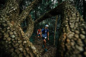 BIB: 
                            <button type="button" onclick="openModal(25674429)" class="btn btn-primary btn-sm float-right btn-popup" data-toggle="modal" data-target=".modal-high-quality">
                        <i class="fas fa-shopping-cart"></i> Add to Cart
                    </button>
                                            <button type="button" onclick="isThisMe(25674429, true)" class="btn btn-success btn-sm float-right btn-popup btn-isme hidden" data-toggle="tooltip" data-placement="bottom" title="นี่คือรูปของคุณใช่ไหม คลิกที่นี่เพื่อเอาเข้าอัลบั้ม">
                        <i class="fas fa-plus"></i> Add to album
                    </button>
                    <button type="button" onclick="isThisMe(25674429, false)" class="btn btn-warning btn-sm float-right btn-popup btn-isnotme hidden">
                        <i class="fas fa-ban"></i> Remove from album
                    </button>